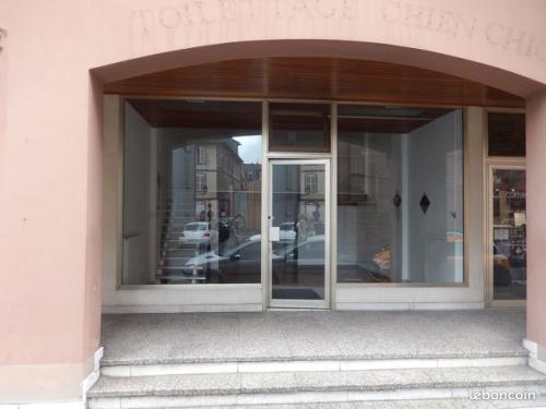 Annonce - LOCAL COMMERCIAL BELFORT VIEILLE-VILLE 60 m2 LIBRE